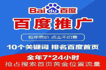 谷歌竞价案例：成功案例分析及启示